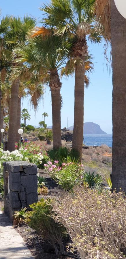 Cosy Well Located Apartment Tenerife Sur Golf San Miguel de Abona Exterior foto