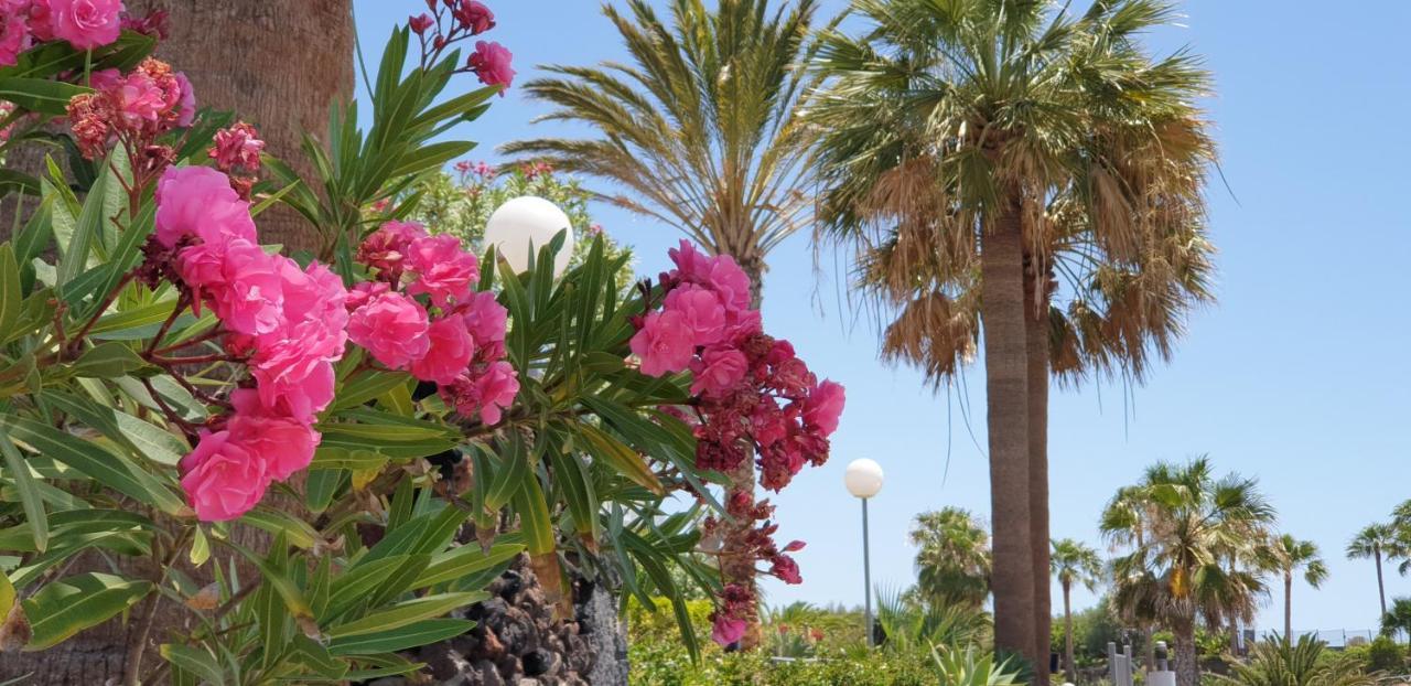 Cosy Well Located Apartment Tenerife Sur Golf San Miguel de Abona Exterior foto
